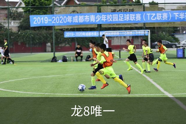 龙8唯一公司介绍图